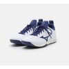 Mizuno Wave Luminous 2 (23) Indoorschuh (weiss/blau/gold)